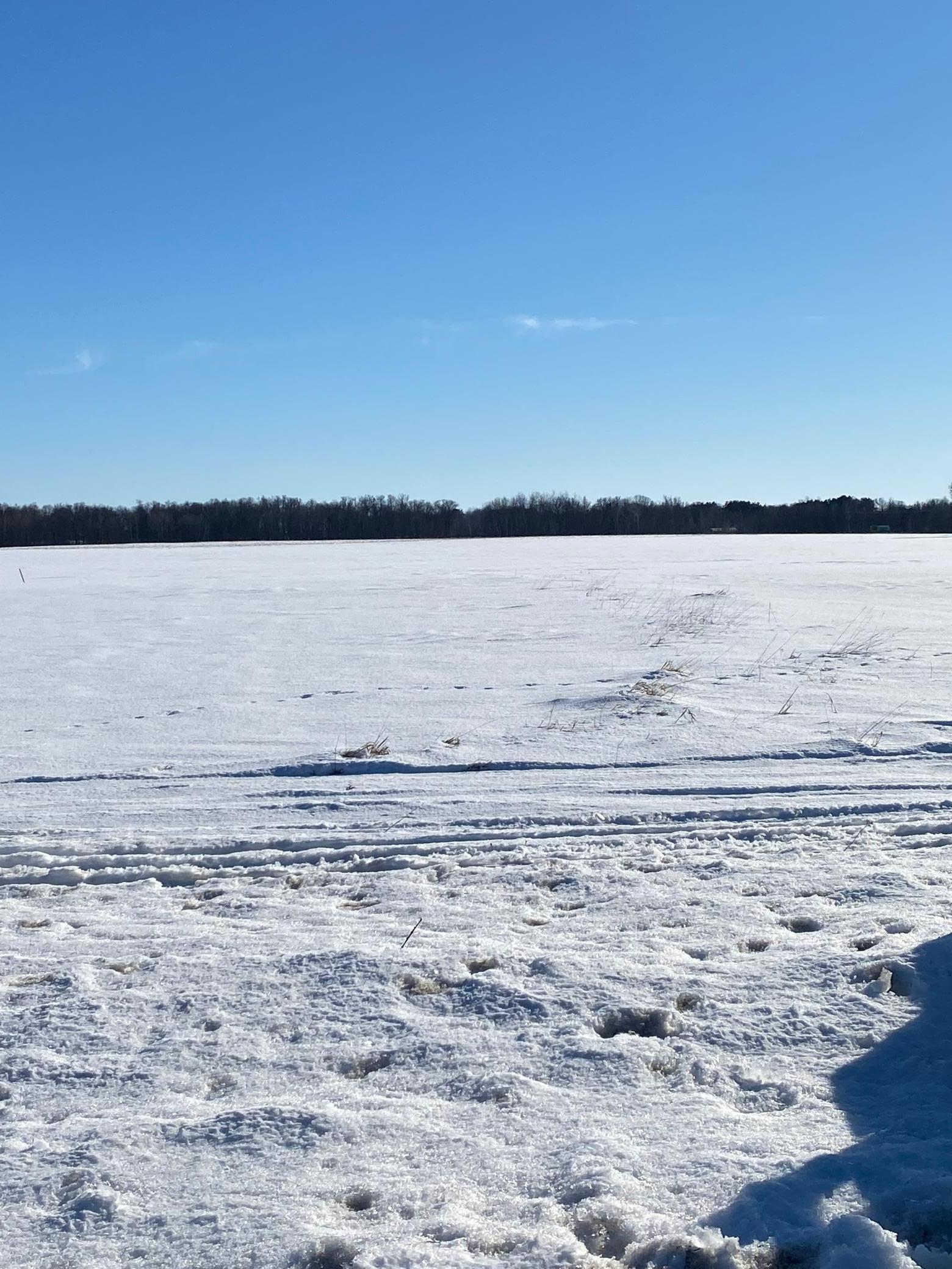 123A 200th Street Milaca MN 56353